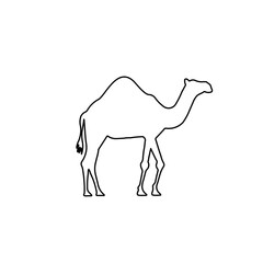 A large black outline camel symbol on the center. Illustration on transparent background