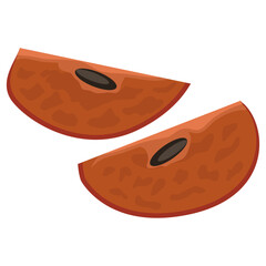 sapodilla slices vector illustration drawing.