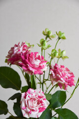 フラッシングとエクレール