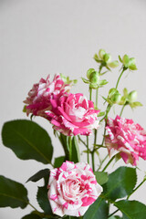 フラッシングとエクレール