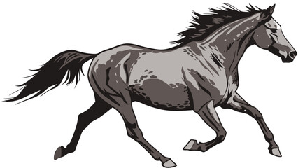 A galloping horse illustration equine art wild animal grey horse running speed power mane tail hooves vector wildlife equestrian animal drawing equine illustration horse art grey steed fast horse str.