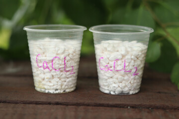 Two plastic cups containing large granules of calcium chloride, an inorganic compound used as an...