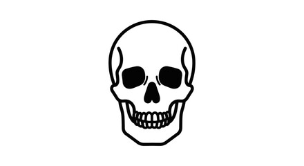 Simple Line Art Skull Illustration Clean Minimalist Design