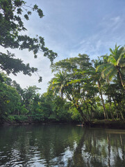 Obraz premium Scenic tropical river landscape surrounded by lush palm trees and dense jungle vegetation, calm water reflecting greenery under blue sky and clouds, peaceful exotic paradise nature in Boracay Philippi
