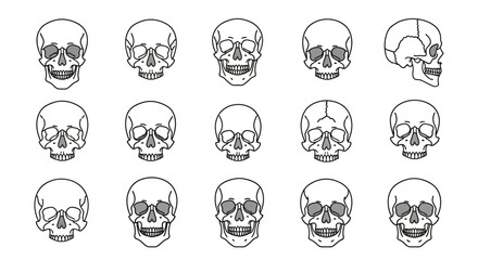 Minimalist line art human skull illustrations, offering diverse anatomical views and artistic interpretations for design projects and educational content
