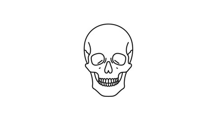 Minimalist human skull line art illustration, a simple graphic icon concept representing anatomy and death