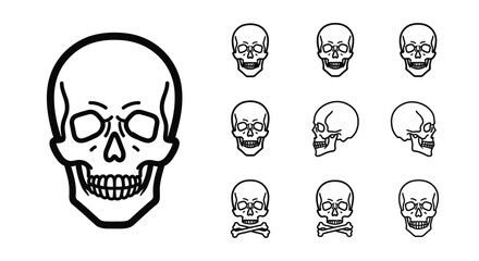 Skull Illustrations Diverse Views and Line Art for Design Projects, Halloween Graphics