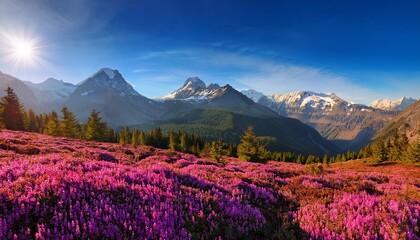 Naklejka premium the landscape is alive with the spirit of the season