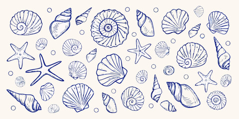 Detailed Hand Drawn Collection Of Seashells And Starfish In Blue Ink marine ocean