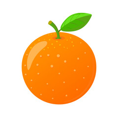 orange fruit vector illustration