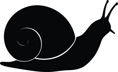 snail silhouette on transparent background © SKShagor