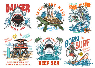 Surfing adventure in California's shark zone