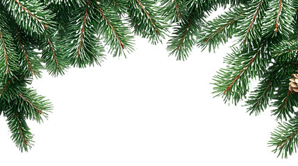 spruce branch green fir realistic Christmas tree isolated on a transparent background