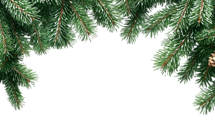 spruce branch green fir realistic Christmas tree isolated on a transparent background