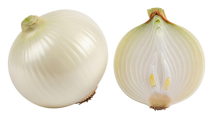 Isolated White Onion