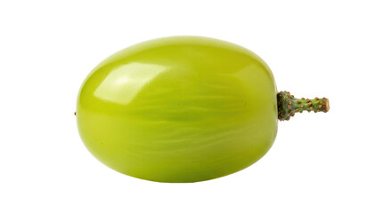 Isolated Single Green Grape