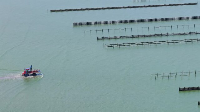 Aerial view of farmers harvesting mussels and oysters at low tide