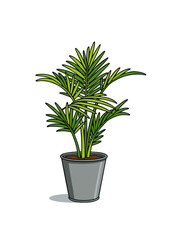 Areca Palm in Brownish Gray Pot