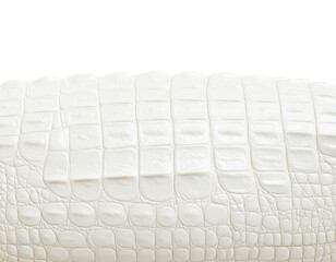 Fototapeta premium Seamless white crocodile leather texture