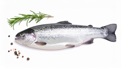 Obraz premium Fresh whole trout with rosemary sprig and peppercorns on a white background, ideal for culinary and food photography.