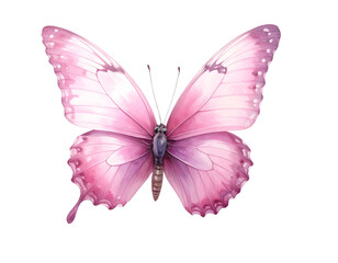 Pink butterfly in flight with soft pastel background