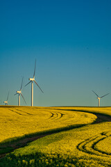 A breathtaking view of the Overberg region in South Africa’s Western Cape, where rolling fields of green and gold stretch toward the Langeberg mountains. These landscape offers expansive copy space