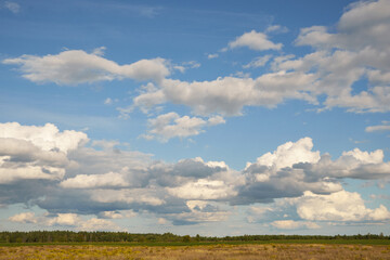 Ukrainian landscape beautiful nature outdoor