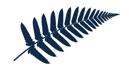 Isolated Fern Leaf