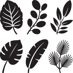Obraz premium Botanical Plant Silhouette Icons Collection
