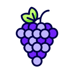 grapes vector illustration