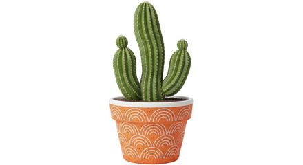 Isolated Cactus in Pot
