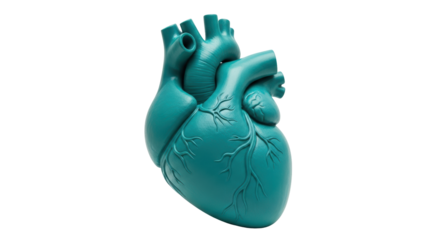 Isolated Artificial Heart