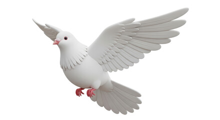 Isolated Dove