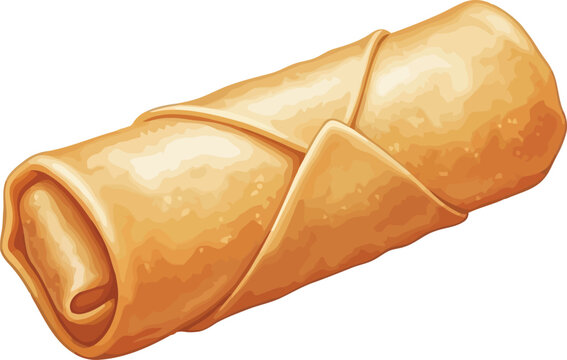 Crispy golden egg roll delicious appetizer asian cuisine isolated on white vector