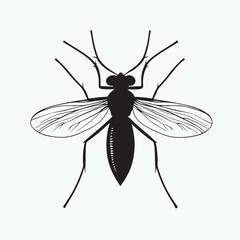 dragonfly on white background