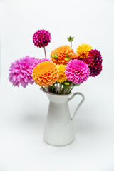 Multi-coloured dahlia flowers, pink, yellow and orange  and red close-up fresh blooming autumn flowers in white vase macro on white background
