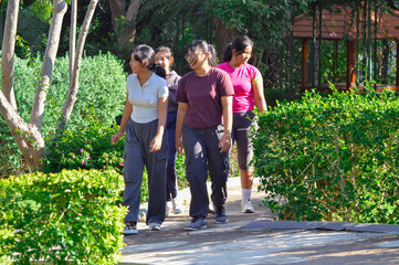 Obraz premium Four teenage girls walk side by side, enjoying the tranquility of a lush tropical park pathway lined with greenery and fresh natural surroundings.