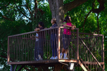 Standing together on the raised observation deck, the girls look around the tropical trees and lush...