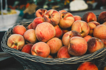 A wicker basket overflows with ripe, juicy peaches, their warm hues a delightful mix of reds, oranges, and yellows. 