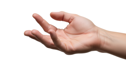 Isolated Open Hand Gesture