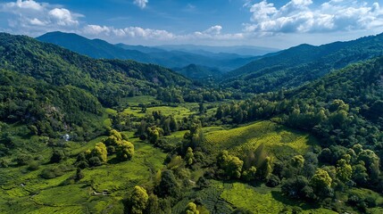 Naklejka premium Lush green valley nestled between forested mountains under a partly cloudy sky