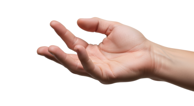 Isolated Open Hand Gesture