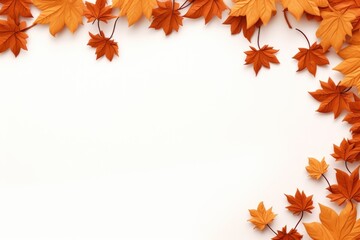 Maple backgrounds leaves plant.