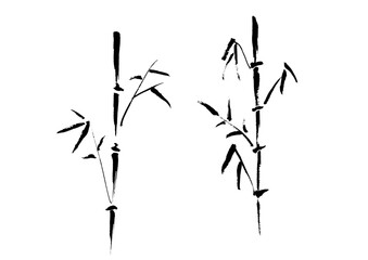 Hand-drawn Bamboo Japanese Ink Illustration Monochrome