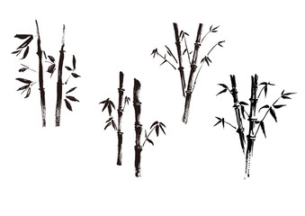 Hand-drawn Bamboo Japanese Ink Illustration Monochrome