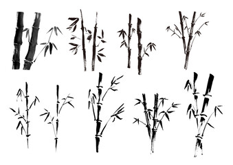 Hand-drawn Bamboo Japanese Ink Illustration Monochrome