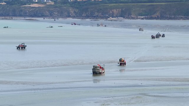 Aerial view of farmers harvesting mussels and oysters at low tide