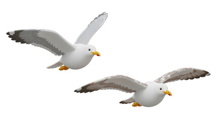 Isolated Two Seagulls