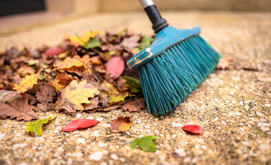Autumn (fall) - sweeping colorful leaves with a blue brush - close up