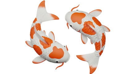 Isolated Koi Fish Pair